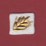 Viereck: hre wei-gold  2x2,2 cm