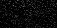 31019-79-07- Wachsplatte gepr. Mosaik schwarz-glanzsilber