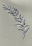 Bltterzweig silber 110 x 35 mm