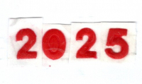 Wachszahl 2025 rot  8-10 mm