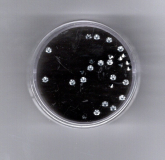 Stra-Stein, 2,3 -2,5 mm - kristall
