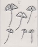 Gingko-Bltterset silber   - max 2x verfgbar!!