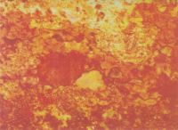 391027A- Wachsplatte Sondergröße matt, Marmor, Typ VIII gelb-orange