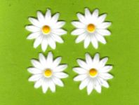 Bltenset Nr. 16 - Margeriten