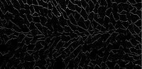31019-79-07- Wachsplatte gepr. Mosaik schwarz-glanzsilber