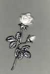 Rose mittel  schwarz-silber, Blte/Knospe  perm.-wei 10,5 cm x  5,5 cm
