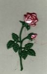 Rose mittel laubgrn, Blte/Knospe perm.-weinrot 10,5 cm x  5,5 cm