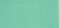 310067- Wachsplatte unifarben - pastellgrün