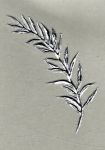 Bltterzweig silber 110 x 35 mm