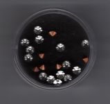 Strass-Chatons, 4,2 mm  kristall - 20 Stück
