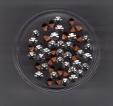 Strass-Chatons, 4,2 mm kristall  - 50-Stück