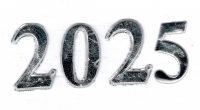 Wachszahl 2025  glanzsilber 22 mm
