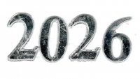 Wachszahl 2026  glanzsilber 22 mm
