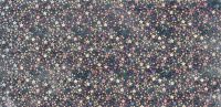 310708-06- Wachsplatte Sterne Hologr. silber