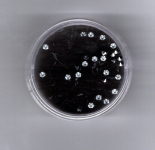 Stra-Stein, 2,3 -2,5 mm - kristall