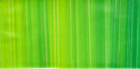 310997- Wachsplatte gestreift gelb-gelbgr�n-mittelgr�n mit unterschiedl. Farbverlauf