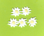 Bl�tenset Nr. 16 - Edelwei� klein