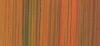 311001-   Wachsplatte Streifen gold,orange,grün
