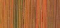 311001-   Wachsplatte Streifen gold,orange,grn