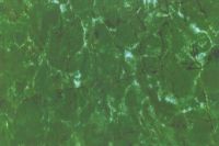 391055A- Wachsplatte Sondergröße matt, Typ VIII mittelgrün-hellgrün-dunkelgrün-weiss
