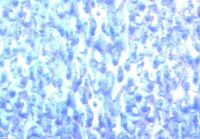391026A- Wachsplatte Sondergröße matt, getupft lichtblau-weiß-lila
